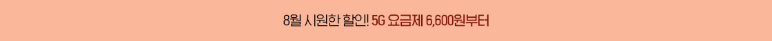 평생 반값의 기회, 5G 중간요금제