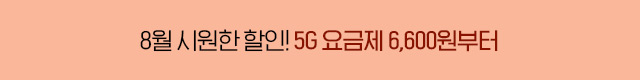 평생 반값의 기회, 5G 중간요금제