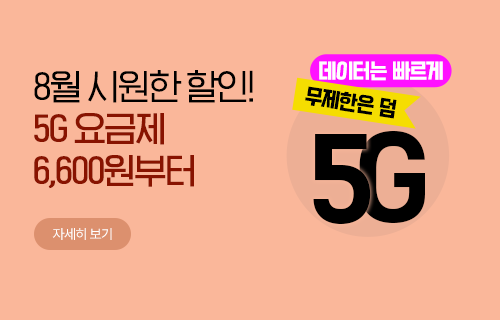 평생 반값의 기회, 5G 중간요금제